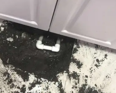 东宁查漏水哪家好