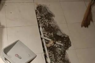东宁卫生间漏水检测电话